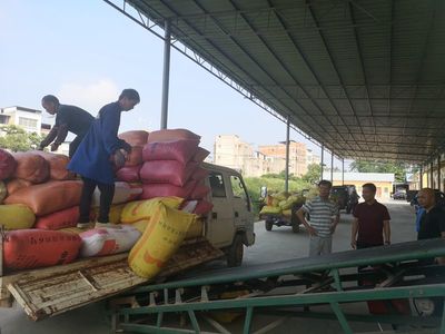 縣發改局強化夏糧收購監管與服務，筑牢糧食市場秩序與安全保障