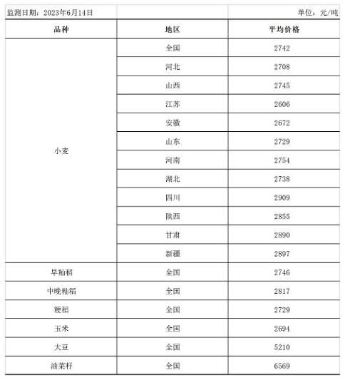 糧食市場迎來新發展趨勢，中方呼吁完善全球糧農治理體系